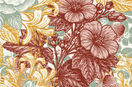 Discover the Wild Plants Behind Our Mallow Label