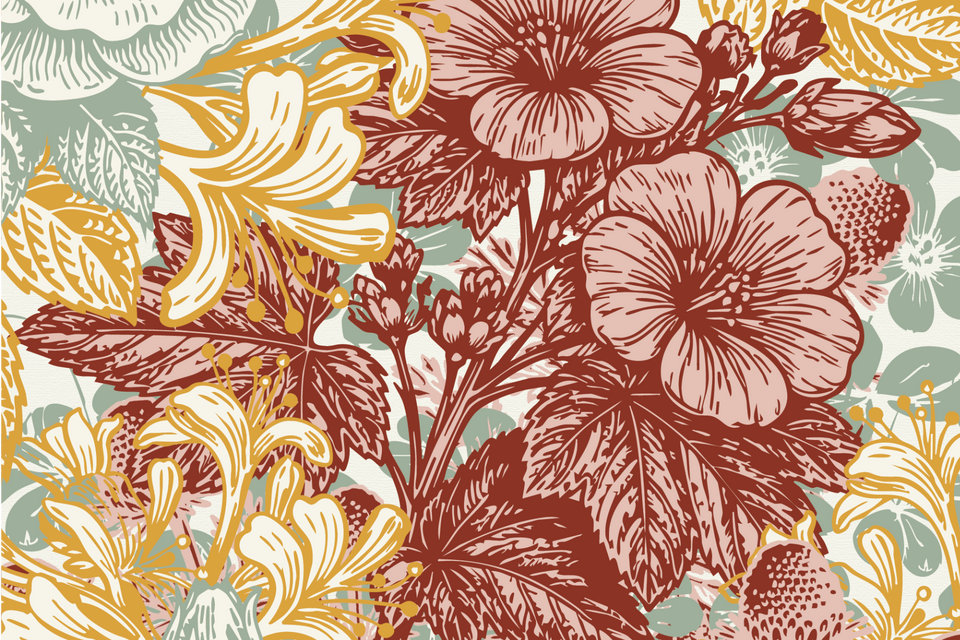 Discover the Wild Plants Behind Our Mallow Label
