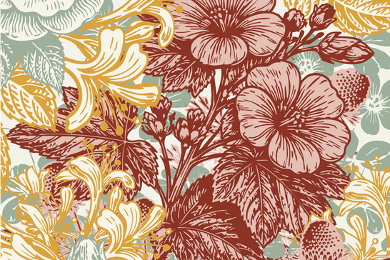 Discover the Wild Plants Behind Our Mallow Label