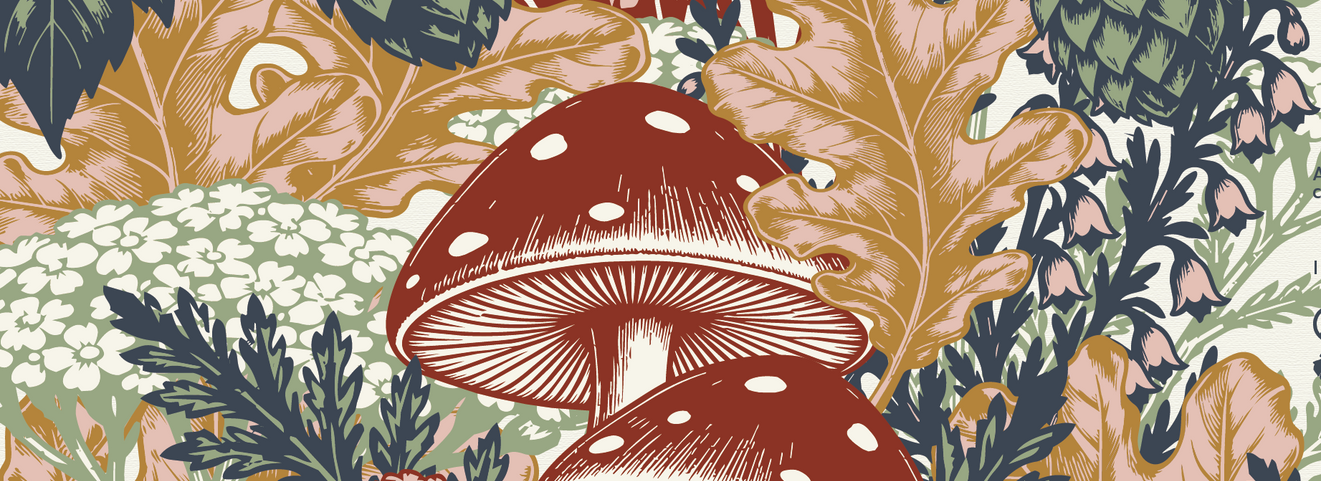 A Season of Seed, Spice + Spores