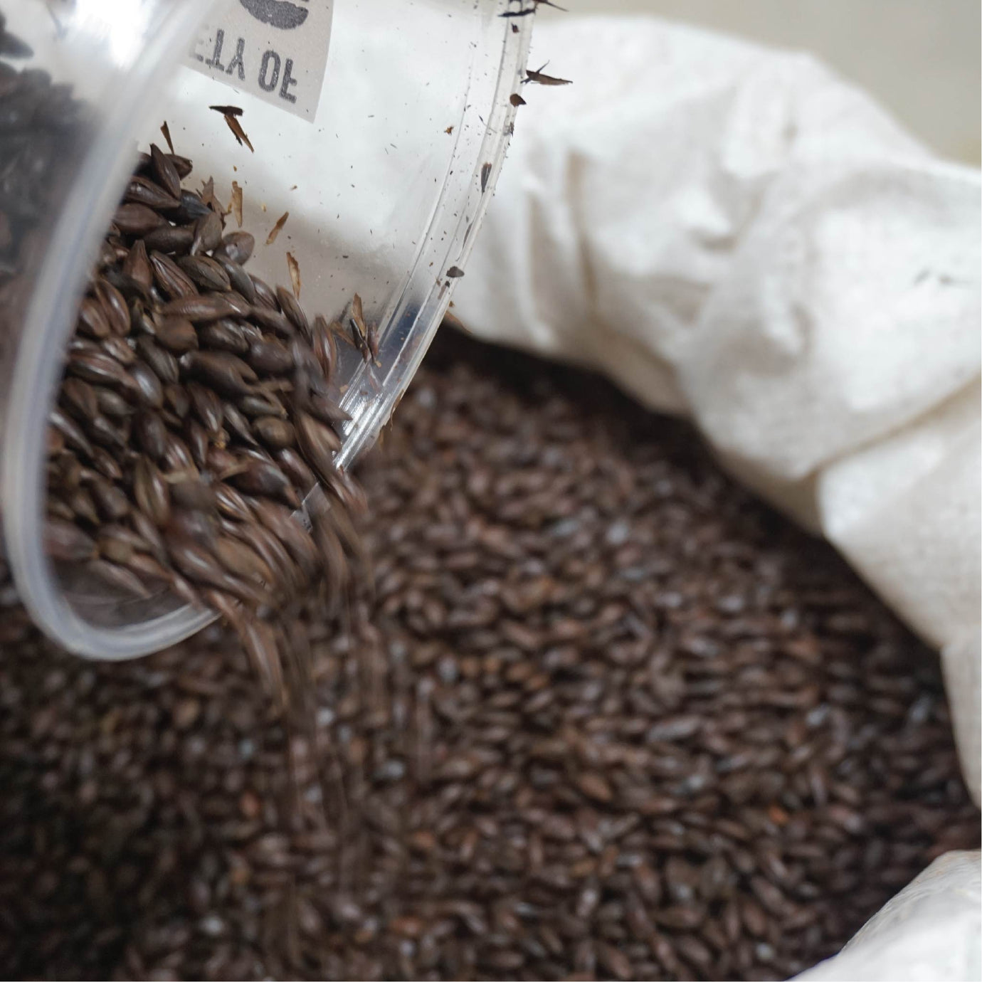 About Field + Theory Brewing Co. | Thoughtful Craft Beer – Field ...
