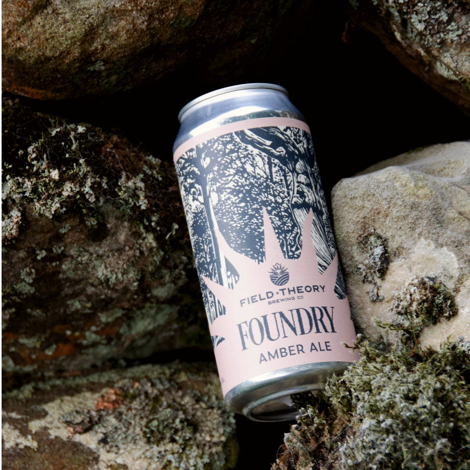 A single can of Field-Theory Foundry Amber Ale beer is photographed resting between natural rocks outdoors. The can has a pale pink label with a dark blue/black tree illustration and visible brand text 'FIELD-THEORY' and 'FOUNDRY'.