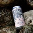 A single can of Field-Theory Foundry Amber Ale beer is photographed resting between natural rocks outdoors. The can has a pale pink label with a dark blue/black tree illustration and visible brand text 'FIELD-THEORY' and 'FOUNDRY'.