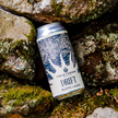 Drift 5.1% Rustic Lager