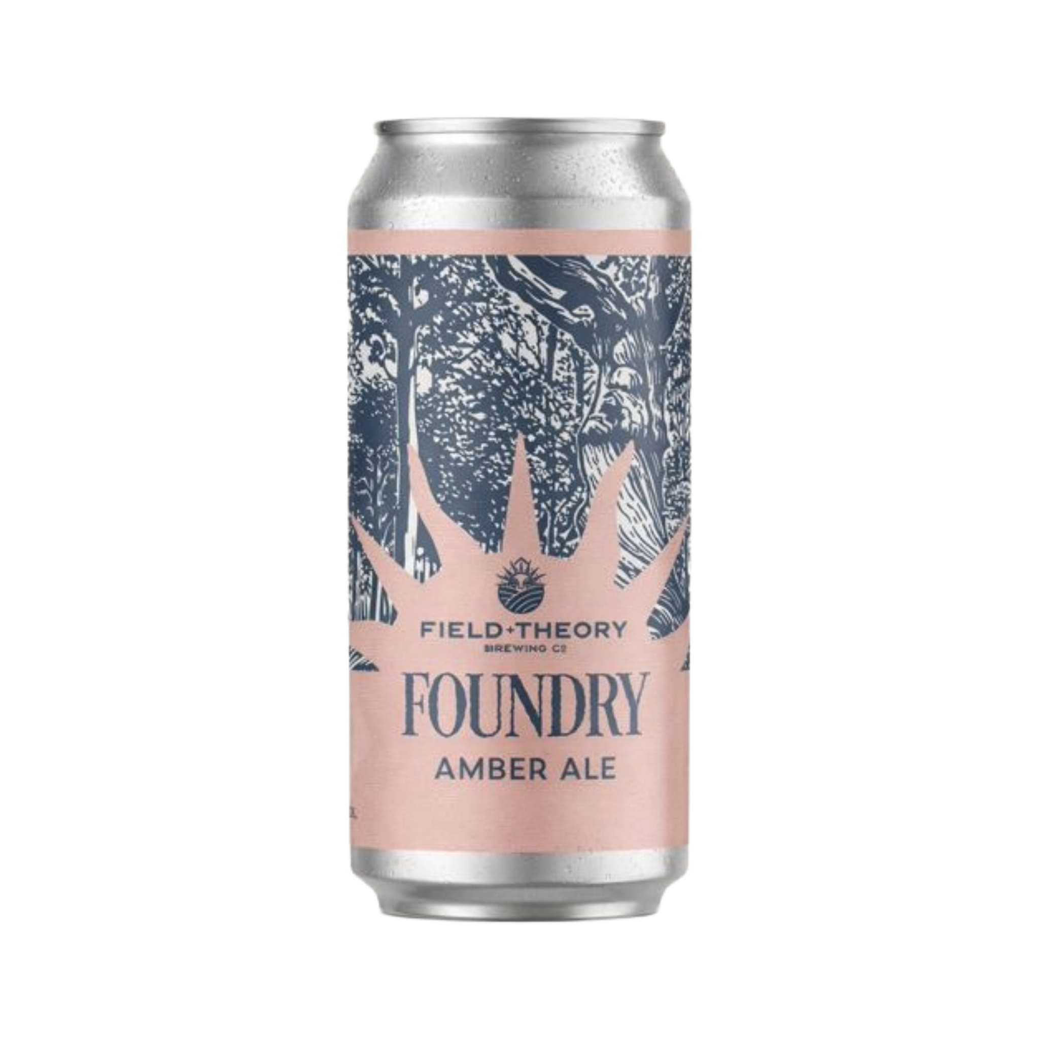 Beer can with 'Field Theory Brewing Co' branding on a white background