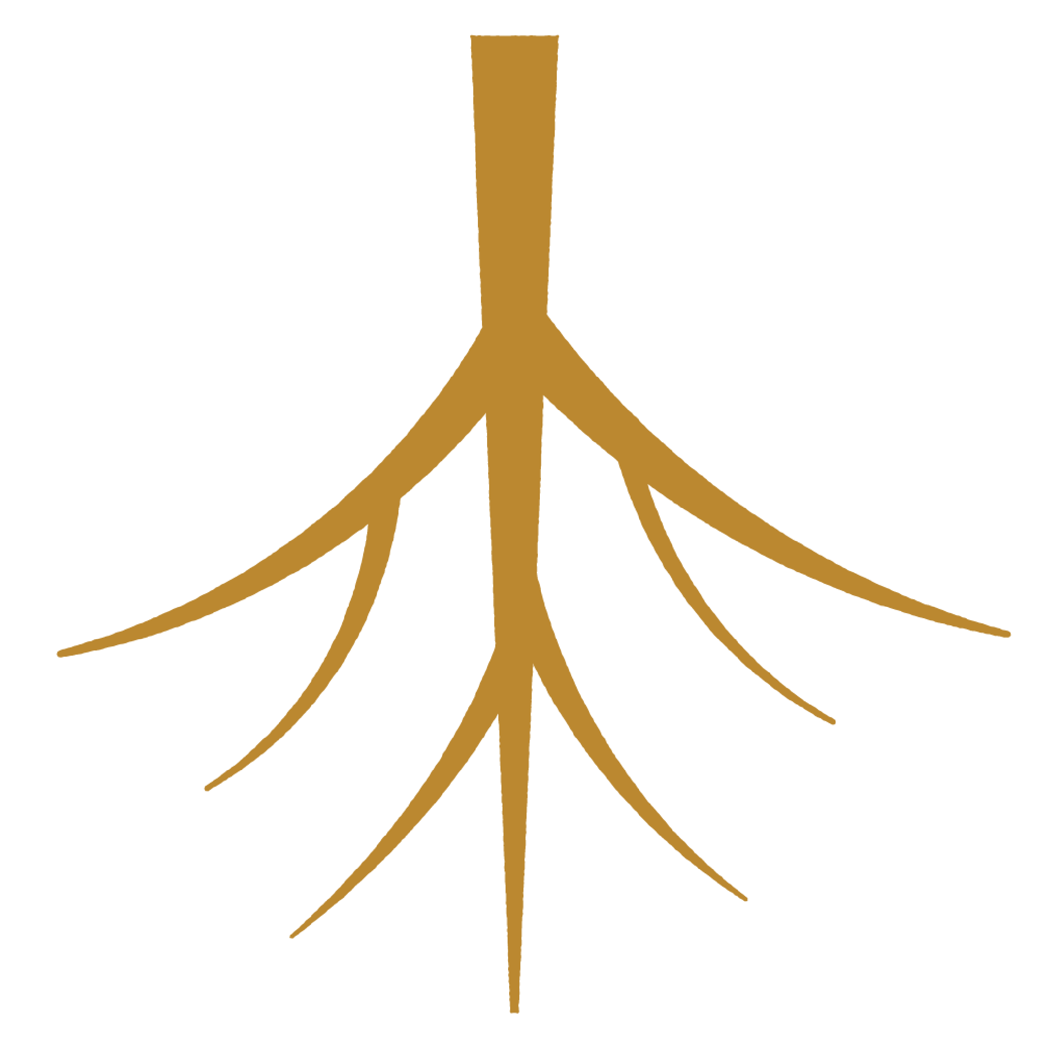 Roots 2.8% Modern Mild