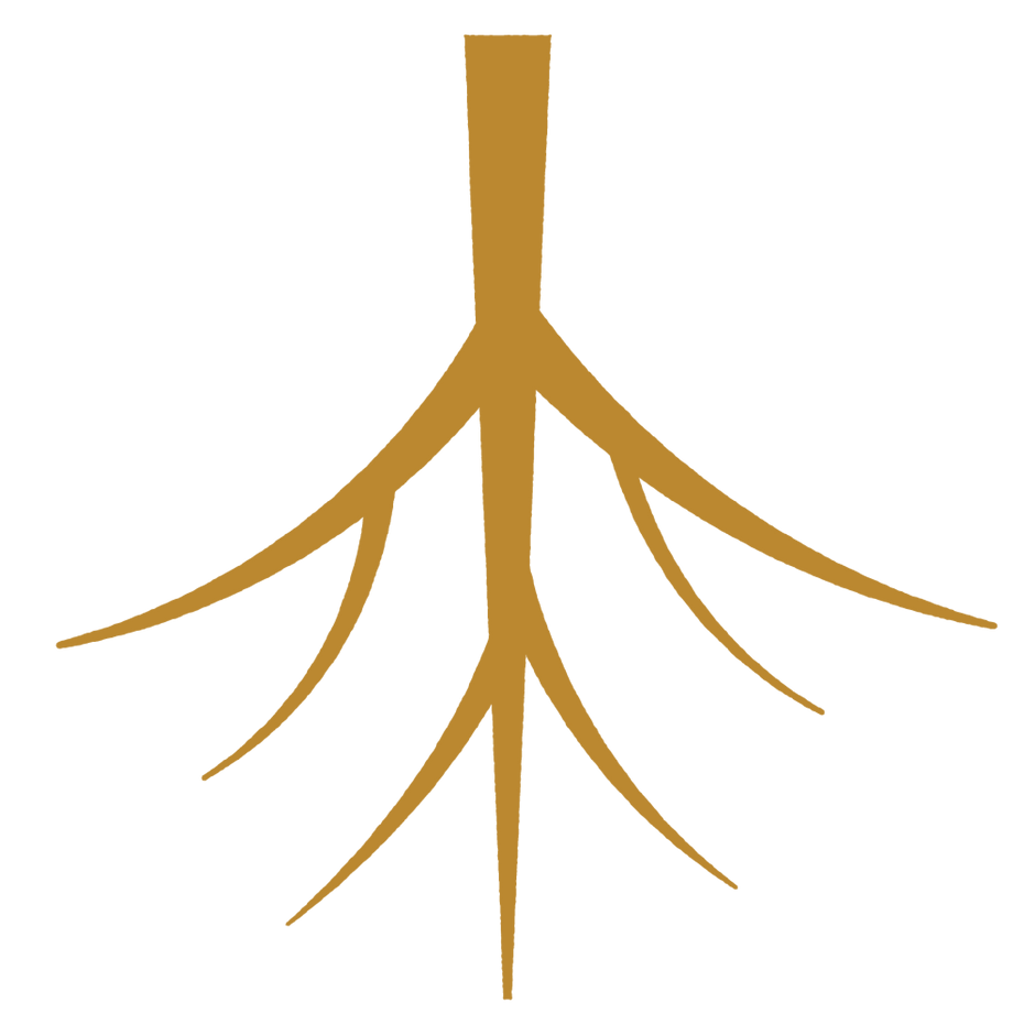 Roots 2.8% Modern Mild