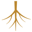 Roots 2.8% Modern Mild