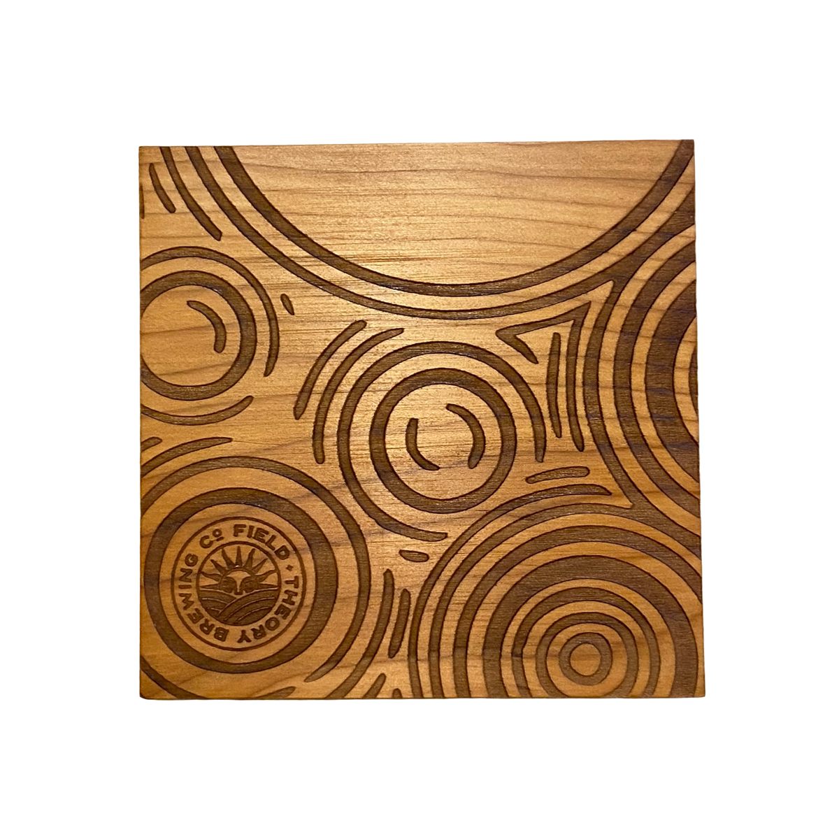 Reclaimed Wood + Leather Coaster