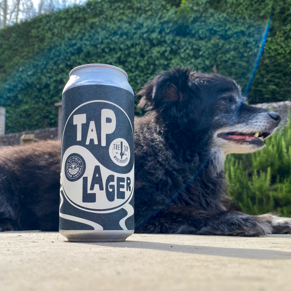 Tap 4.6% Lager